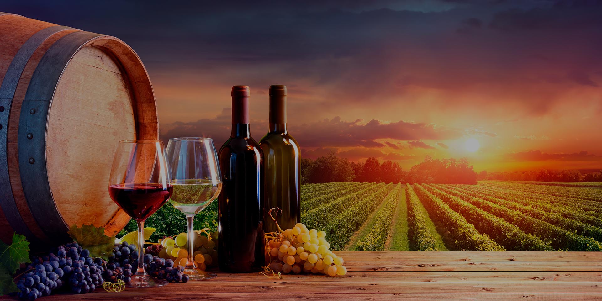 Vinos y delicias